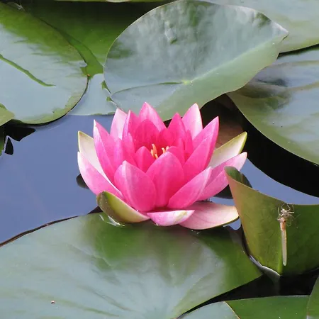 公寓 Stollenklause *