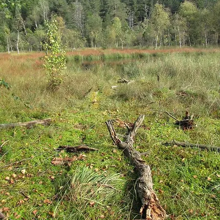 公寓 Stollenklause