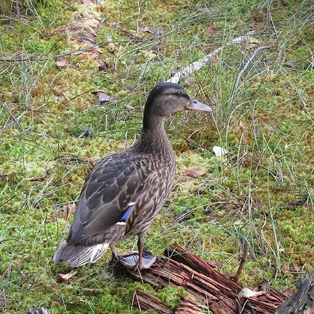 公寓 Stollenklause *