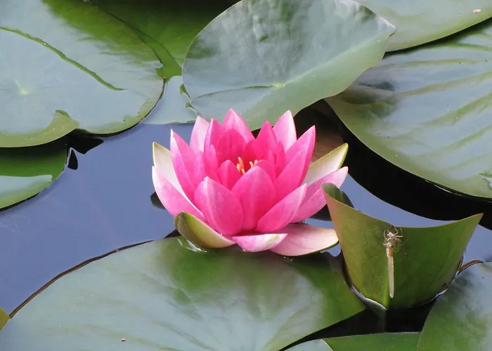 Apartment Stollenklause *