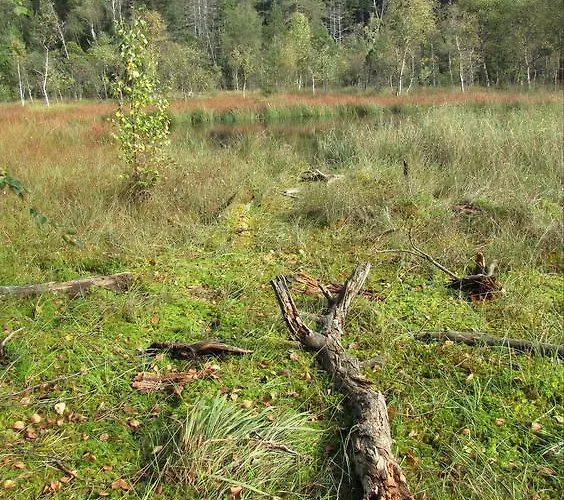 Apartmán Stollenklause